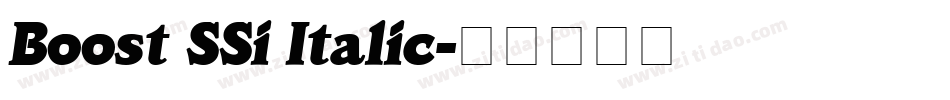 Boost SSi Italic字体转换
